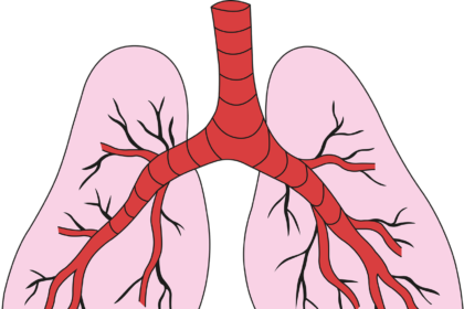 “The Lifesaving Role of Lungs: Understanding Their Structure and Function”
