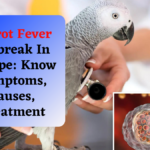 Parrot Fever Outbreak In Europe Know Symptoms, Causes, Treatment