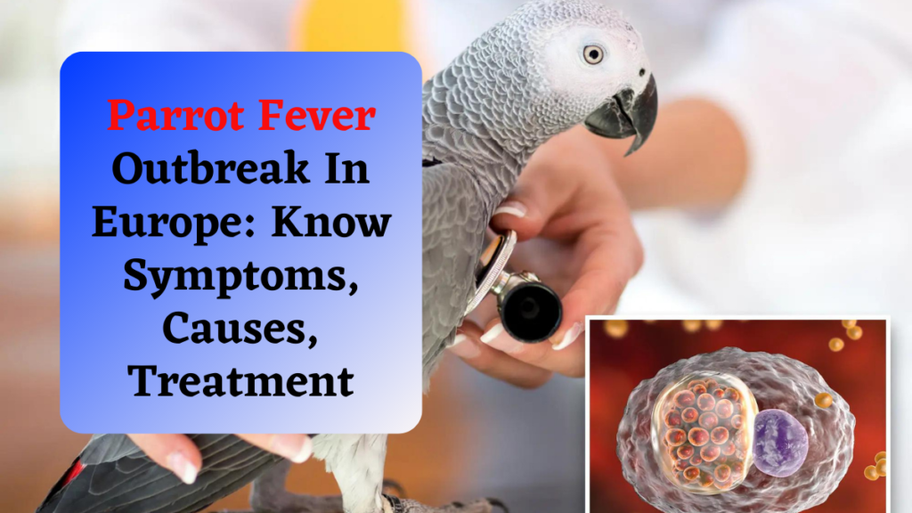 Parrot Fever Outbreak In Europe: Know Symptoms, Causes, Treatment