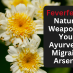Feverfew: A Natural Weapon in Your Ayurvedic Migraine Arsenal
