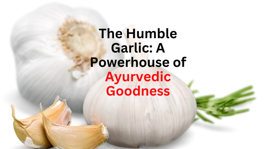 The Humble Garlic: A Powerhouse of Ayurvedic Goodness
