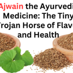 Ajwain the Ayurvedic Medicine The Tiny Trojan Horse of Flavour and Health