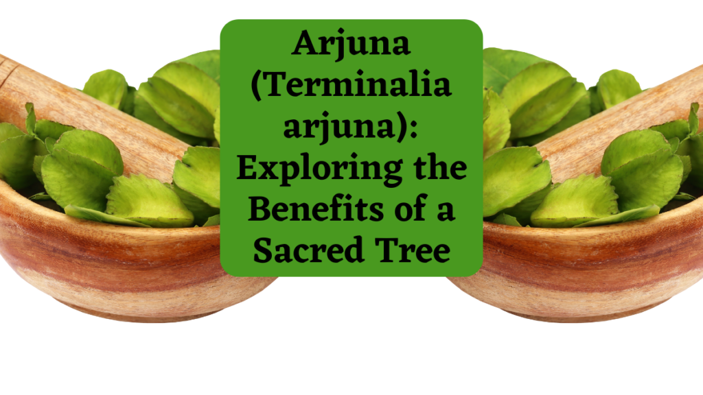 Arjuna (Terminalia arjuna) Exploring the Benefits of a Sacred Tree