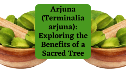 Arjuna (Terminalia arjuna) Exploring the Benefits of a Sacred Tree