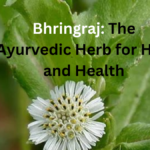 Bhringraj: The Ayurvedic Herb for Hair and Health