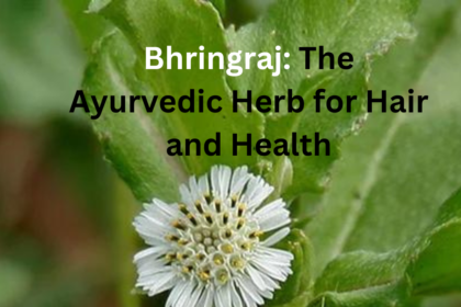Bhringraj: The Ayurvedic Herb for Hair and Health
