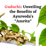 Guduchi Unveiling the Benefits of Ayurveda’s Amrita