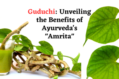 Guduchi Unveiling the Benefits of Ayurveda’s Amrita
