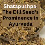 Shatapushpa The Dill Seed’s Prominence in Ayurveda