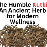 The Humble Kutki An Ancient Herb for Modern Wellness