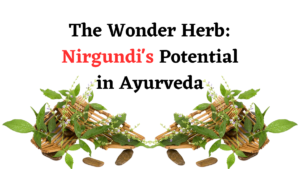 The Wonder Herb: Nirgundi’s Potential in Ayurveda