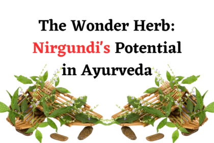 The Wonder Herb: Nirgundi’s Potential in Ayurveda