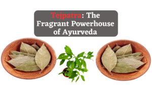 Tejpatra: The Fragrant Powerhouse of Ayurveda