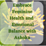 Feminine Health and Emotional Balance with Ashoka