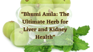 "Bhumi Amla: The Ultimate Herb for Liver and Kidney Health"