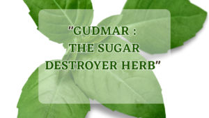 "GUDMAR : THE SUGAR DESTROYER HERB"