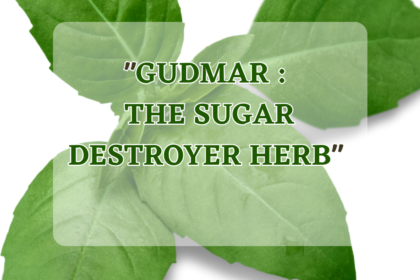 "GUDMAR : THE SUGAR DESTROYER HERB"