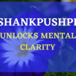 SHANKHAPUSHPI: A POWERFULL HERB