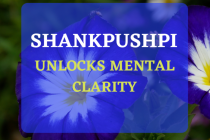 SHANKHAPUSHPI: A POWERFULL HERB