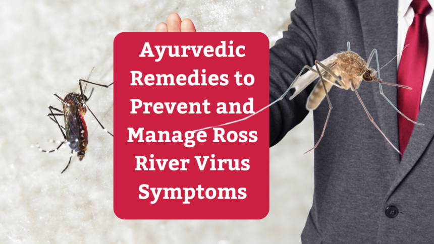 Ayurvedic Remedies to Prevent and Manage Ross River Virus Symptoms