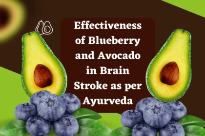 Effectiveness of Blueberry and Avocado in Hemorrhagic Infarction (Brain Stroke) as per Ayurveda