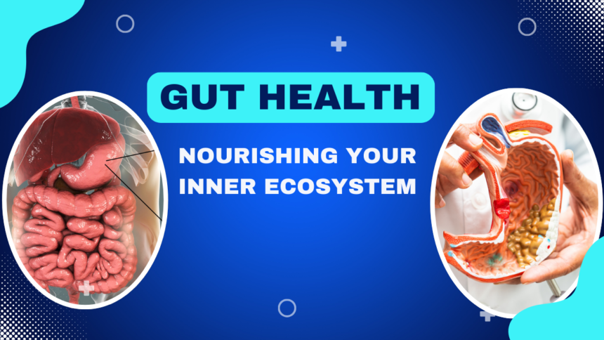 Gut Health