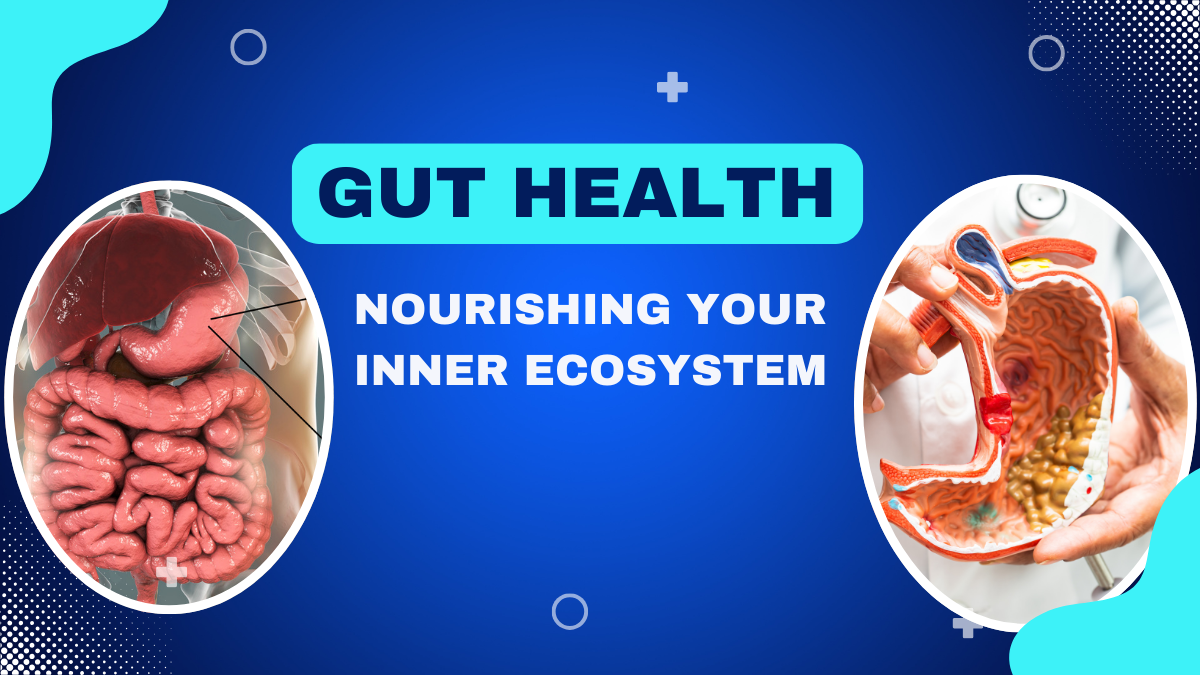 Gut Health