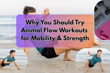 Animal Flow Workouts