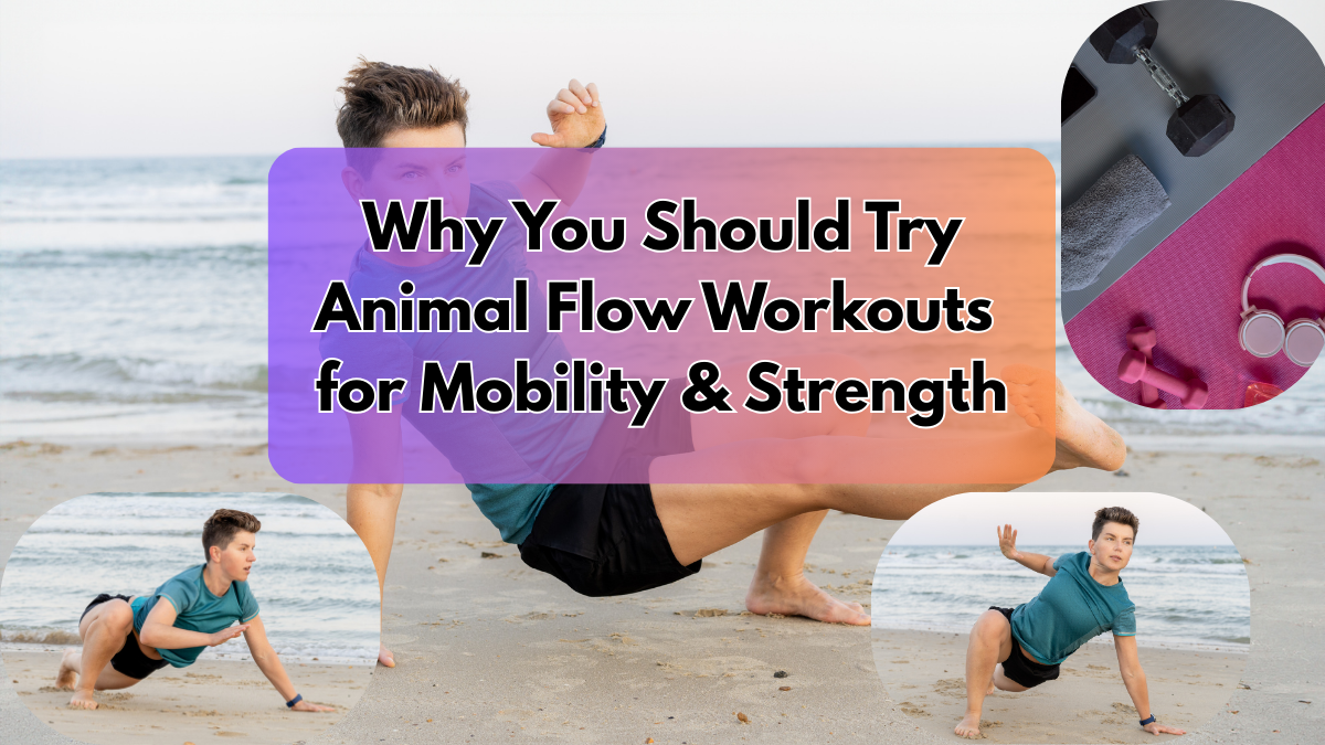 Animal Flow Workouts