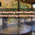 Forest Bathing (Shinrin-Yoku)