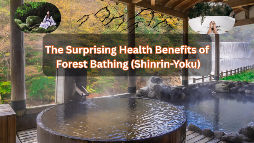 Forest Bathing (Shinrin-Yoku)