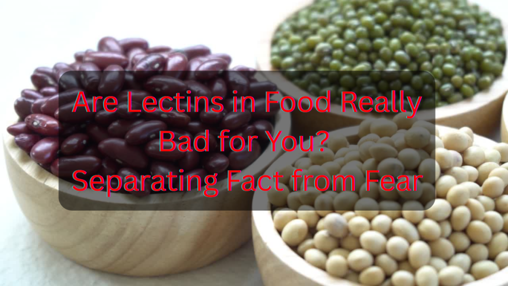 Are Lectins in Food Really Bad for You? Separating Fact from Fear Lectins in Food