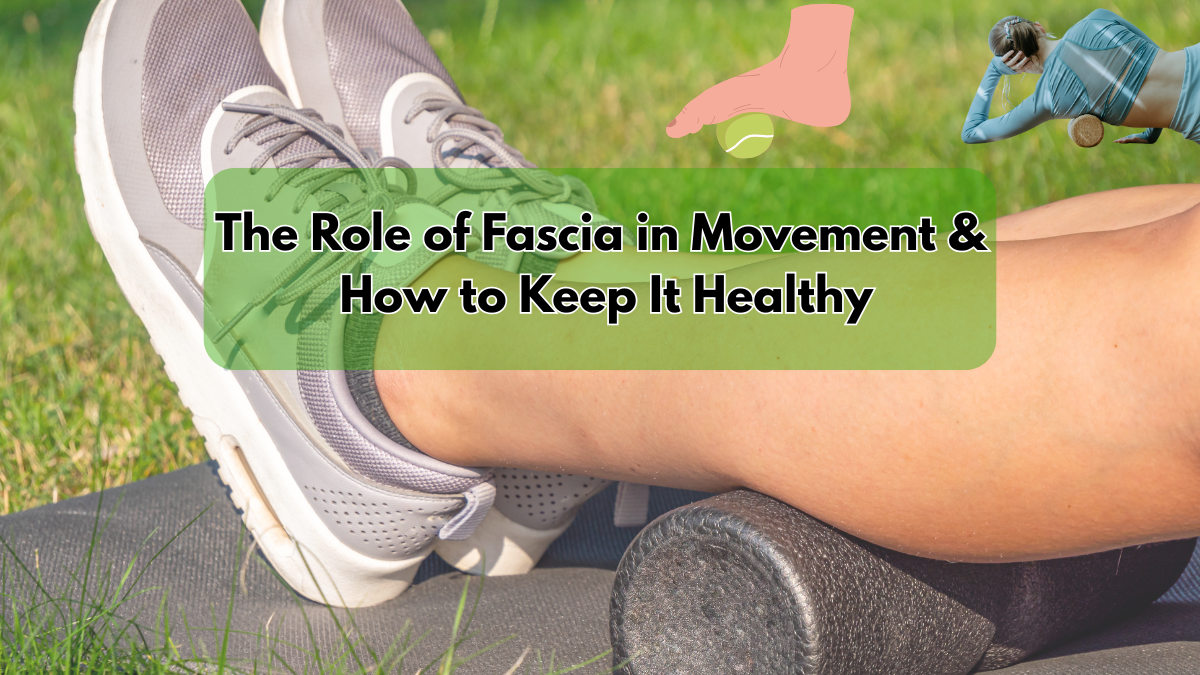 Role of Fascia