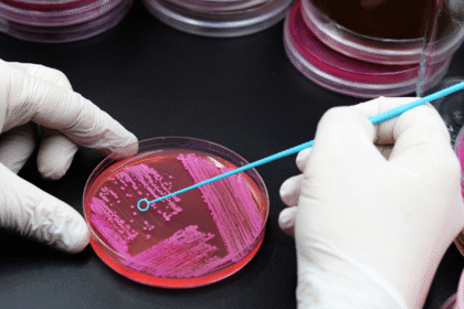 Urban Microbiome and Human Immunity: How City Life Shapes Your Gut and Skin Health