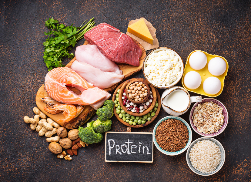 The Role of Protein in Healthy Aging and Muscle Preservation: What Science Says