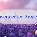 Lavender for Anxiety