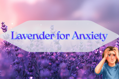 Lavender for Anxiety