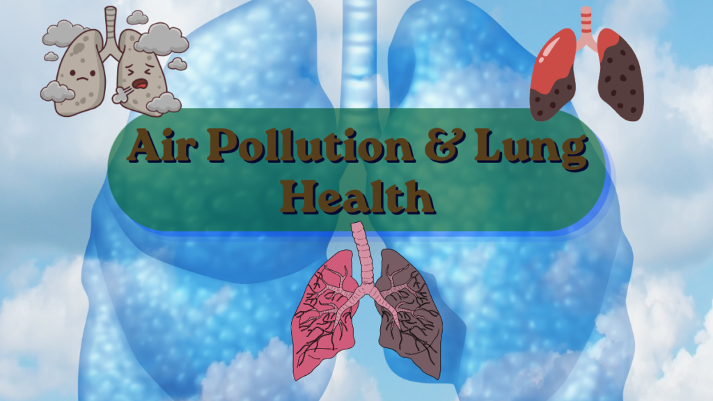 Air Pollution & Lung Health: Ayurvedic Protection for City Dwellers Air Pollution & Lung Health