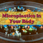 Microplastics in Your Body