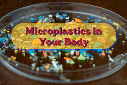 Microplastics in Your Body