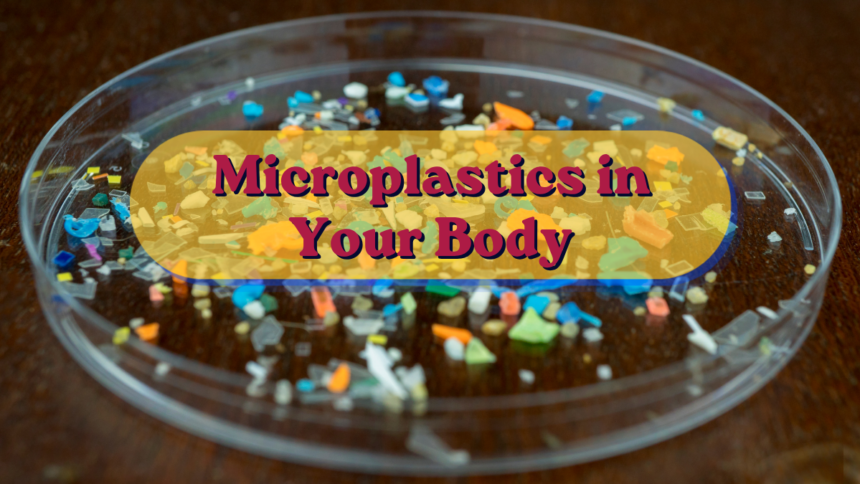 Microplastics in Your Body
