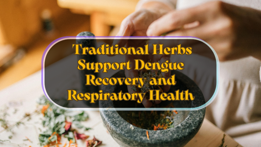 Traditional Herbs Support Dengue Recovery and Respiratory Health