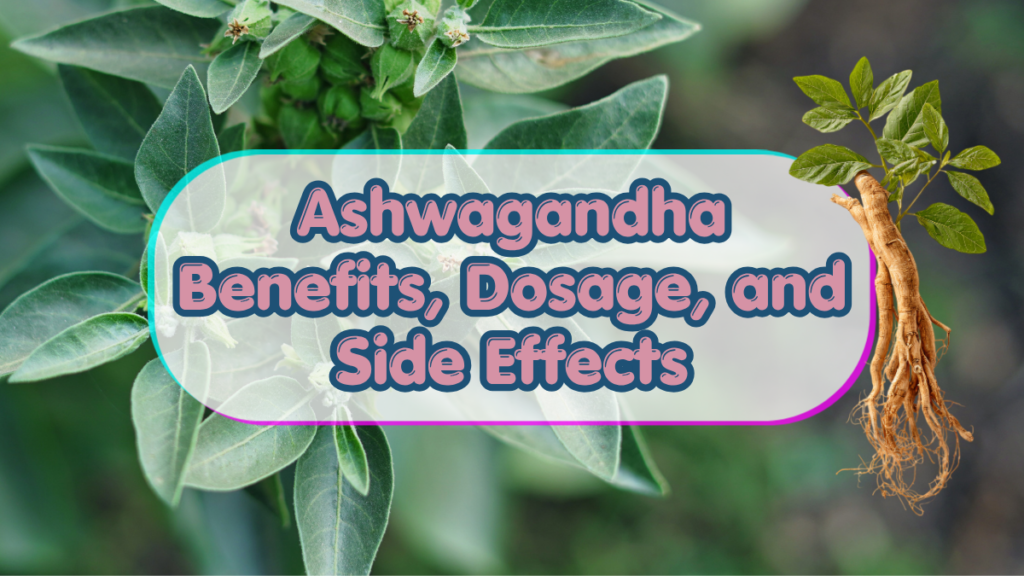 Ashwagandha Benefits, Dosage, and Side Effects