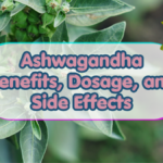 Ashwagandha Benefits, Dosage, and Side Effects