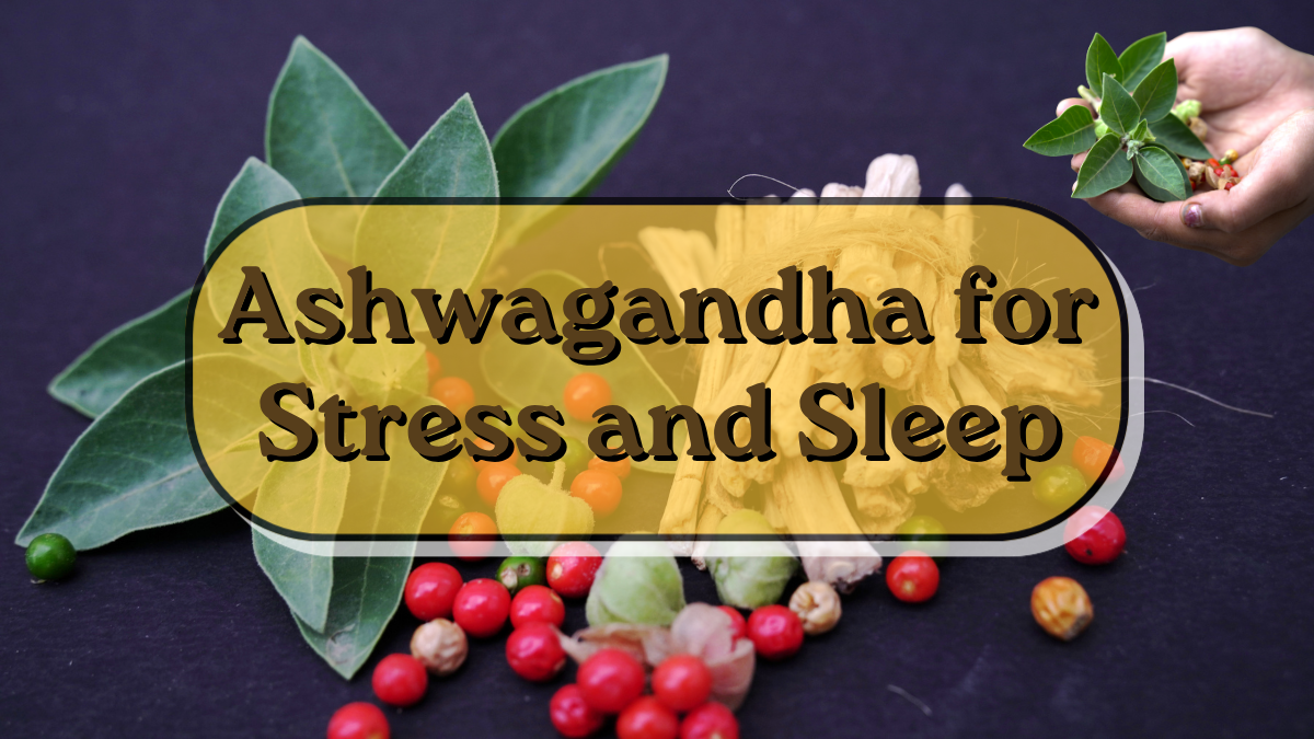 Ashwagandha for Stress and Sleep