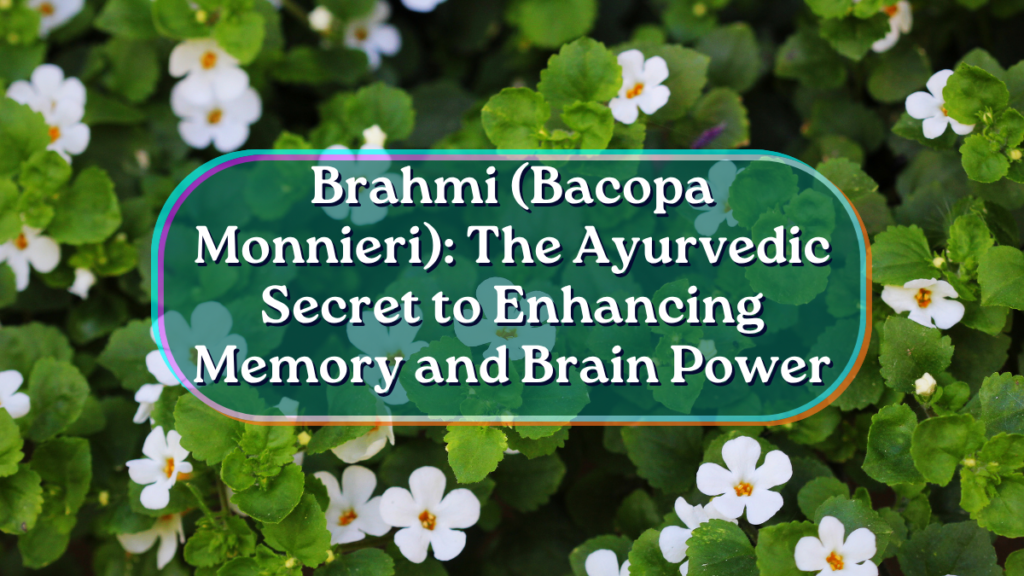 Brahmi (Bacopa Monnieri): The Best Ayurvedic Secret to Enhancing Memory and Brain Power Brahmi