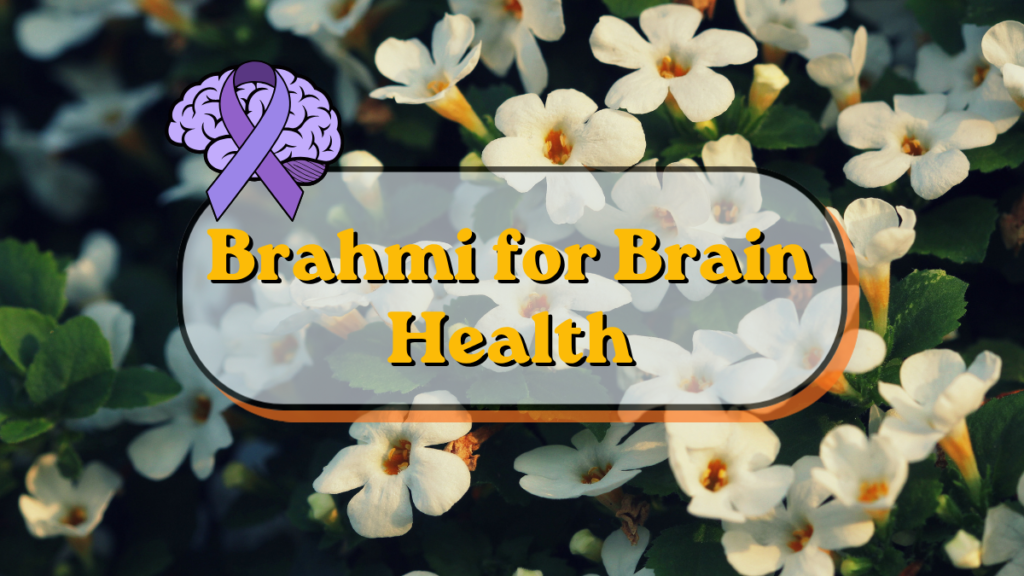 Brahmi for Brain Health