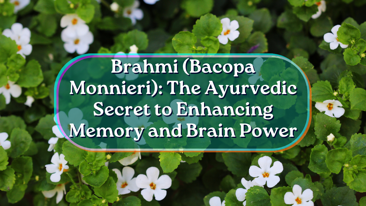 Brahmi