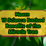 Neem