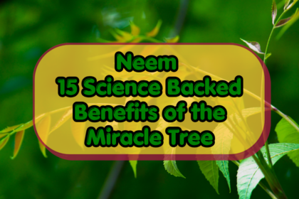 Neem
